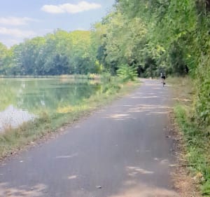 Voie verte le long du canal depuis Rosières-aux-Salines - Rosières-aux-Salines - 2