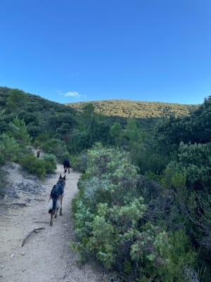 Le Cirque de Mourèze - Mourèze - 17