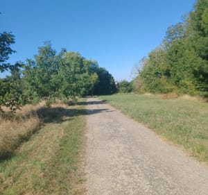 Les coteaux de Peltre - FABRICE - 3