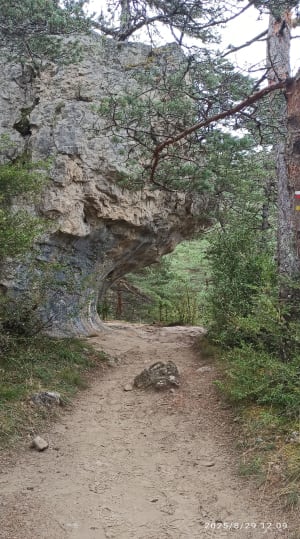 Arcs de Saint-Pierre-des-Tripiers - RAYMOND - 6