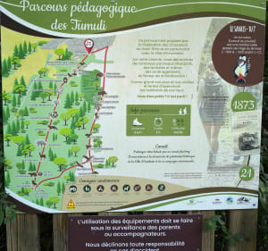Tour du lac de Ensisheim et parcours des Tumuli - Ensisheim - 2