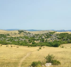 Le sentier de Nîmes le vieux - Fraissinet-de-Fourques - 2