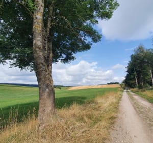 Alentours de Marlhes - Claude - 4