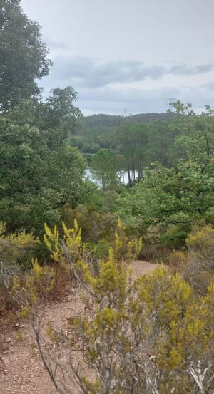 Lac du Rioutard - Bagnols-en-Forêt - 2