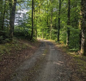 Boucle au départ de l'église du Vieux Bourg - Saint-Geniez-ô-Merle - 2