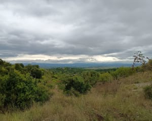 Garrigue et gorges du Gardon par les GR® 6 et 63 - Mael - 7