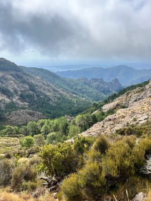 Bergerie de Luvviu et Monte Calva - Zonza - 6