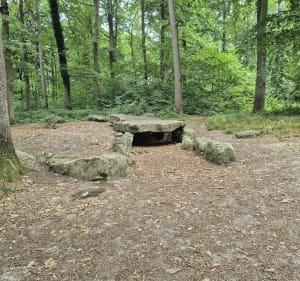 Balade dans Carnelle - Viarmes - 4