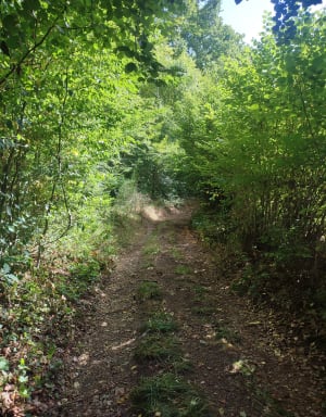 Broglie et escapade verte sur la vallée de la Charentonne - Broglie - 5