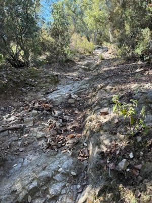 Laroque et deux fontaines et casots - Laroque-des-Albères - 6