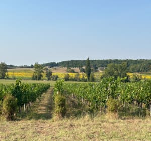 Promenade autour de Mérignas - Paula - 5