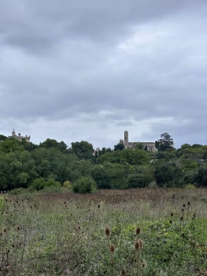 Restanten van het Romeinse aquaduct in Uzès en mooie kapitelen - Yves - 4