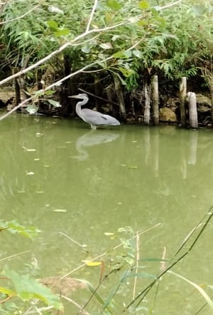 Rando des châteaux de Bergues - Bergues - 3