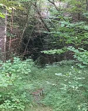 Petite balade des sources à Rousseloy - Rousseloy - 3