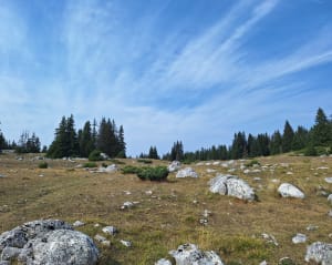 Randonnée suspendue au Vercors et ses merveilleux balcons - Corrençon-en-Vercors - 6