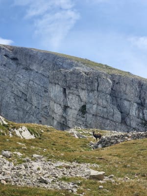 Randonnée suspendue au Vercors et ses merveilleux balcons - Corrençon-en-Vercors - 10
