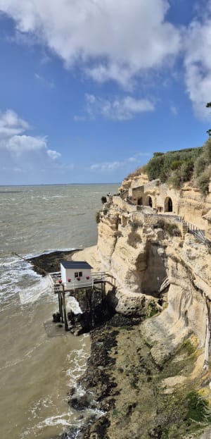Visite touristique de Meschers sur Gironde - Meschers-sur-Gironde - 6