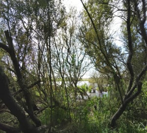 Petite mer et campagne en Plouhinec - Plouhinec - 4
