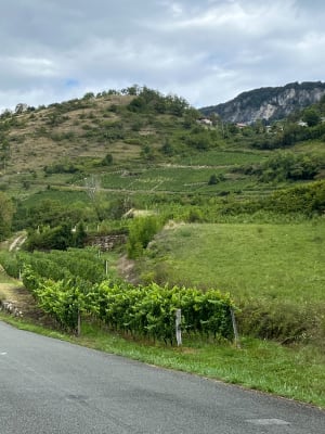 Volledige tour van het meer van Bourget - Le Bourget-du-Lac - 3