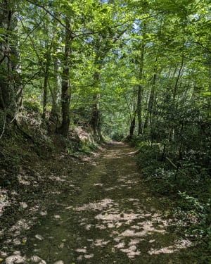 Het kamp van Caesar, rond Bagnères - Pouzac - 8