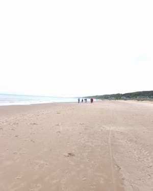 Entre forêt, campagne et mer à Colleville-sur-Mer - Colleville-sur-Mer - 9