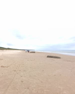 Entre forêt, campagne et mer à Colleville-sur-Mer - Colleville-sur-Mer - 5