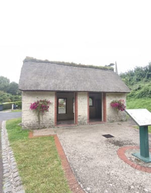 Entre forêt, campagne et mer à Colleville-sur-Mer - Colleville-sur-Mer - 10