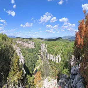 Berrias-et-Casteljau en de ontdekking van de olijfboom - Berrias-et-Casteljau - 7