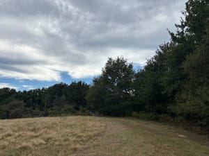 Milafranga et le long de la Nive - Villefranque - 2