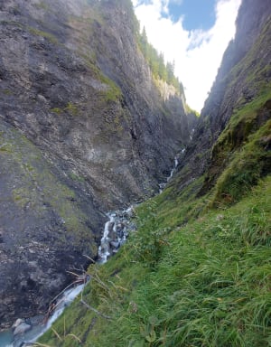 Balade à l'étang de la Prairie Vouau - Saint-Nabord - 3