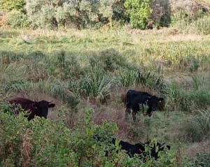 Petite balade autour de Morcourt - Morcourt - 6