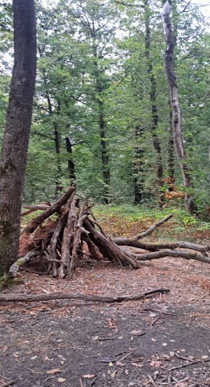 Balade à la forêt de Laroche Turpin - Fontenay-lès-Briis - 4