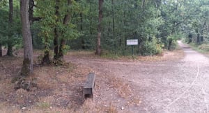 Balade à la forêt de Laroche Turpin - Fontenay-lès-Briis - 3