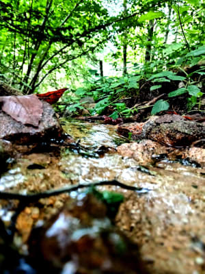 Parcours 4 - Patrimoine et Nature à Sondreville - Ban-sur-Meurthe-Clefcy - 6
