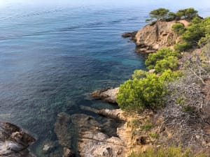 Entre terre et mer, du côté de Bregancon - Bormes-les-Mimosas - 19