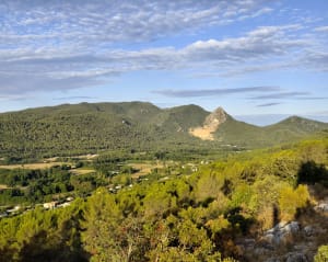 Sur la crête Entre Brignoles et Camps la Source Camps la sou - Brignoles - 6