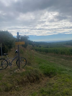 Sortie entre vignes de Pouilly et Roche de Solutré par Vergisson à vélo - Charnay-lès-Mâcon - 8