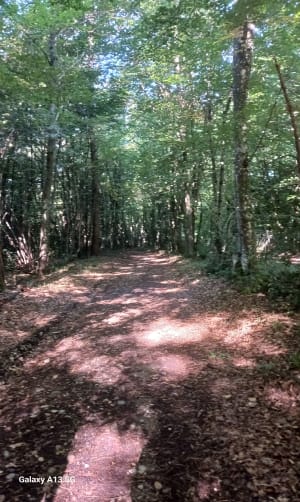 Balade dans les Chambarans - Roybon - 6