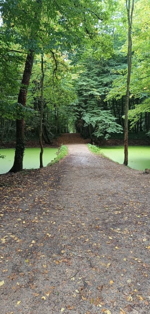 Gif-sur-Yvette entre ville et nature et sur le GR® 655 - Gif-sur-Yvette - 3