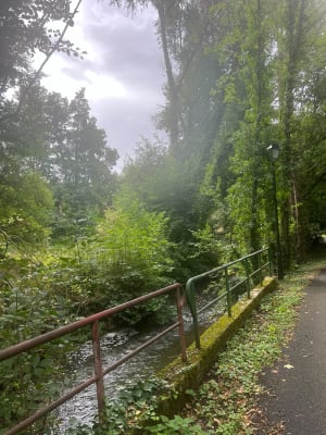 Balade photo à Berchères-sur-Vesgre - Berchères-sur-Vesgre - 6