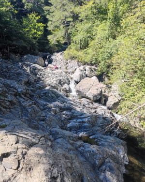 Het Vizzavona-bos en zijn weelderige Engelse waterval - La Foce - 5