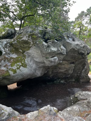 Kinderwandeling: het bos van Fontainebleau van rotsen tot grotten - Fontainebleau - 2