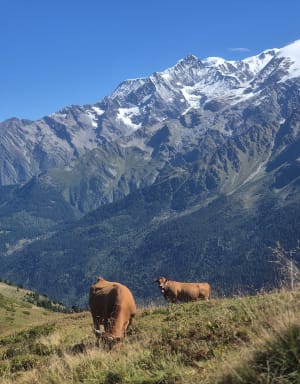 Col de Joly et lac de Roselette - losset - 6