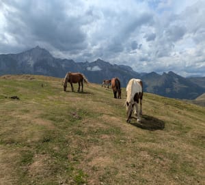 Au cœur du Val d'Azin et paysages à couper le souffle - Arbéost - 2