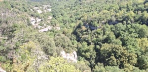 Balade, Vallon de l’Aiguebrun - Buoux - 14