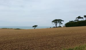 La balade de Quiberville et de la Côte d'Albâtre - Quiberville - 5