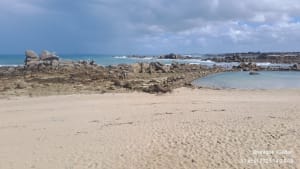 Balade sur la côte Nord du Finistère - Cléder - 6