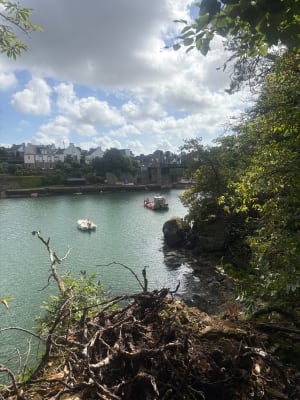 Les sens en éveil dans une nature en folie à Auray et au Bono ! - Auray - 5