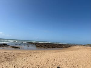 Balade dans les dunes et la plage de la Paracou - Les Sables-d'Olonne - 6