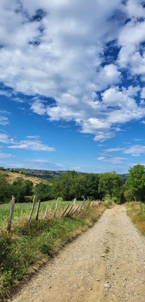 Pays du Gier, boucle de Valfleury et la Croix Blanche - Cellieu - 8